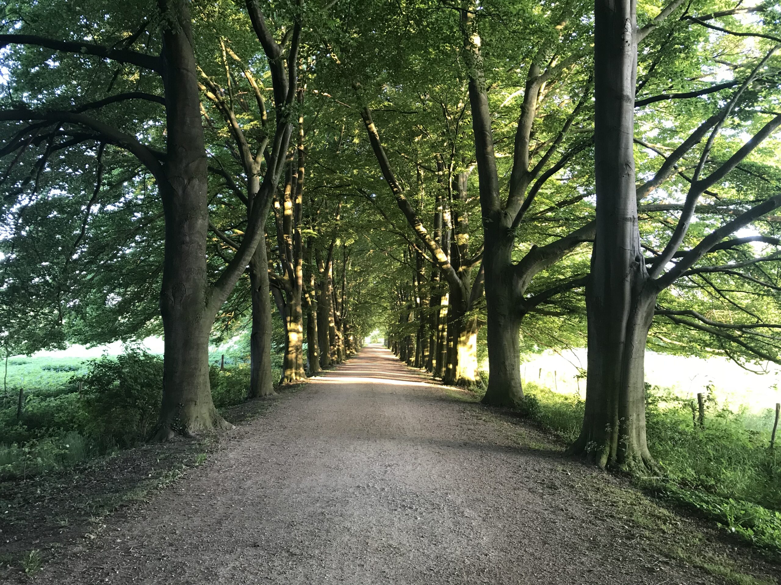 De laatste eindredactie ronde komt eraan!