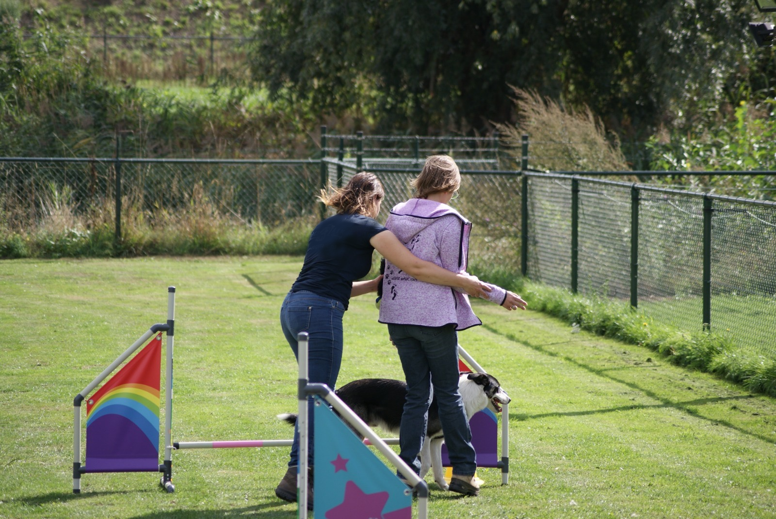 agilitytraining agilitytraining