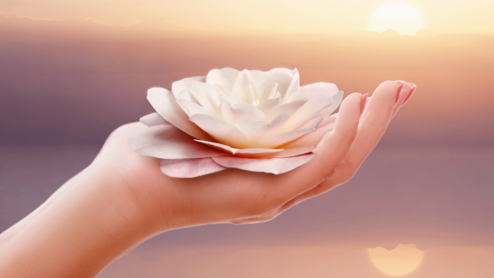 Ontwerp zonder titel (3) gedrag hond