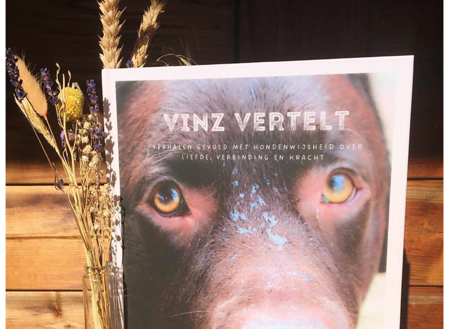 Eenvoud is de sleutel